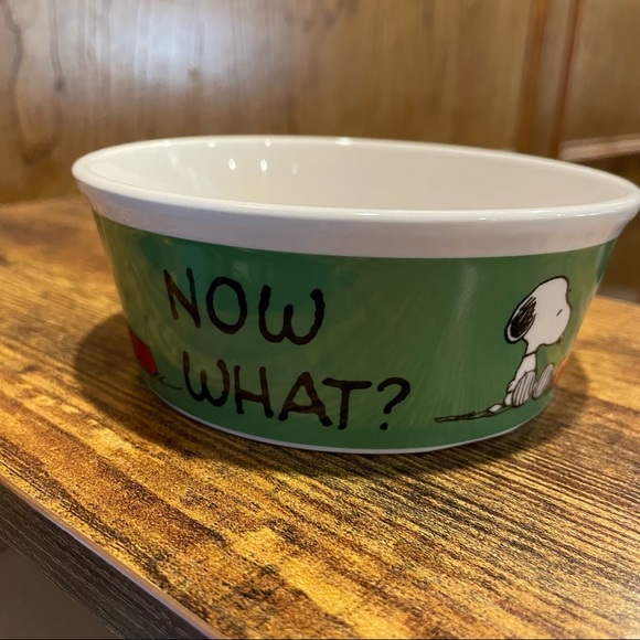 Peanuts Dog Peanuts Snoopy Woodstock Now What Pet Food Or Water